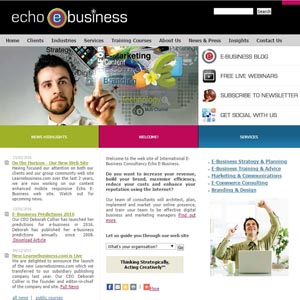 Echo E-Business Corporate Web Site